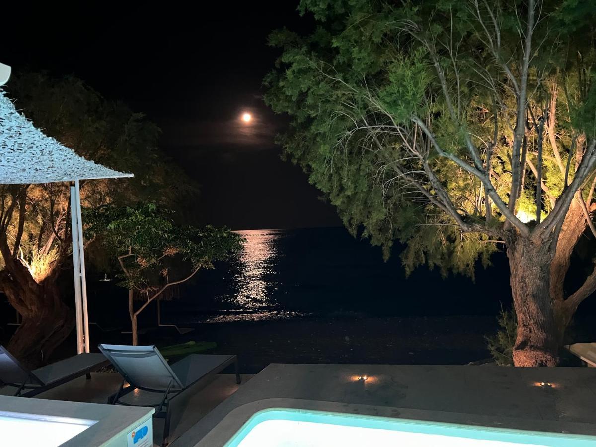 Willa Nikkon Luxury Living Arvi  Zewnętrze zdjęcie